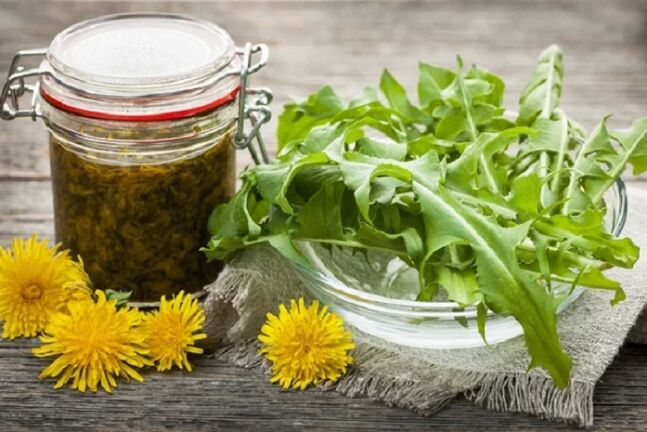 dandelion tincture for the treatment of knee arthrosis