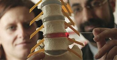 study of osteochondrosis on a model of the spine