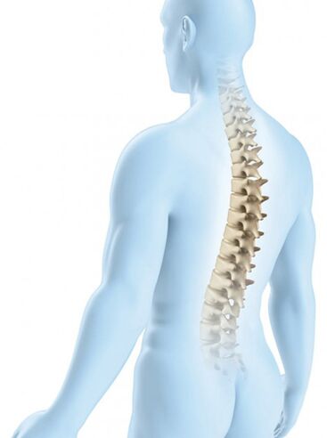 The lesion of the thoracic region is less likely due to its physiological strength