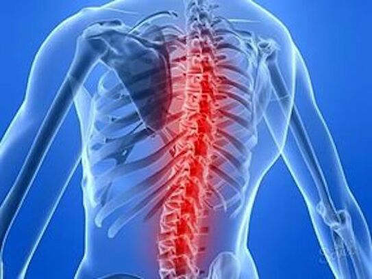 a problem with the spine may be the cause of back pain