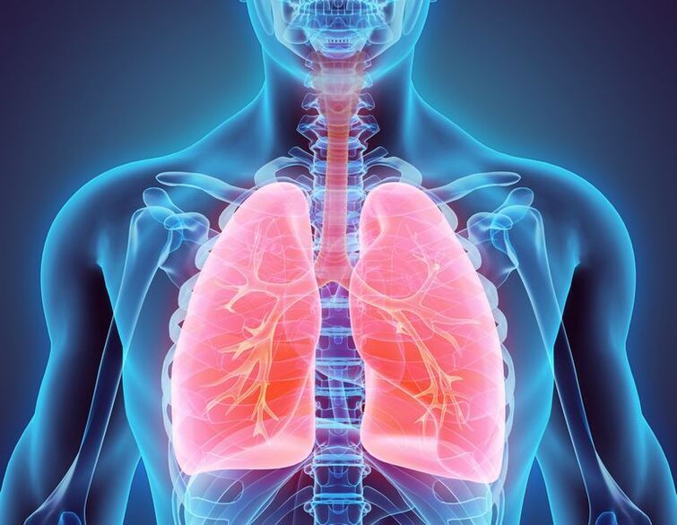 bronchi and lungs as a source of pain
