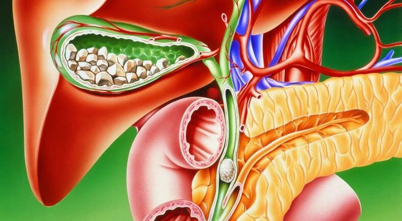 gallbladder location diagram