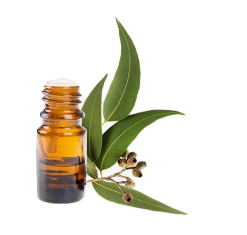 eucalyptus oil in Flekosteel